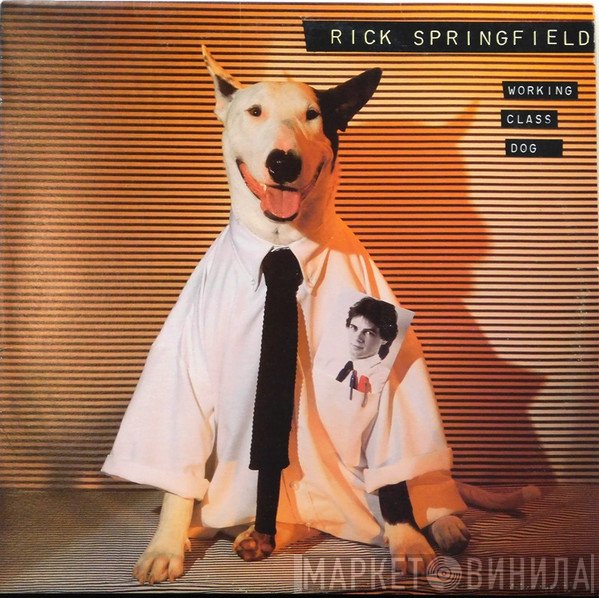 Rick Springfield  - Working Class Dog