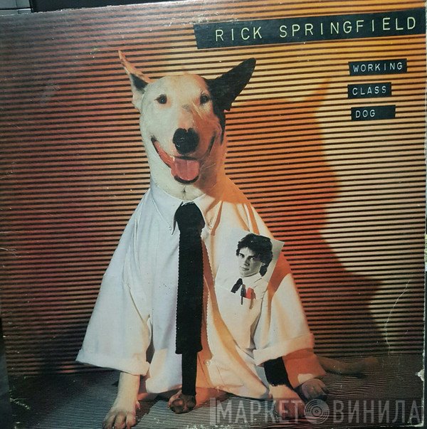 Rick Springfield  - Working Class Dog
