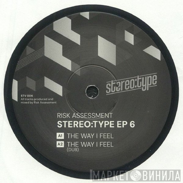 Risk Assessment - Stereo:type EP 6