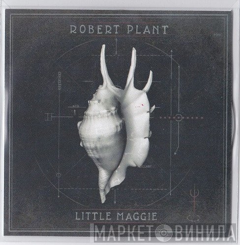 Robert Plant  - Little Maggie