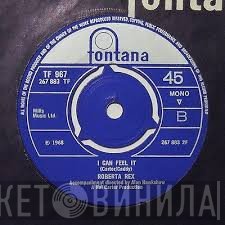 Roberta Rex - Joey