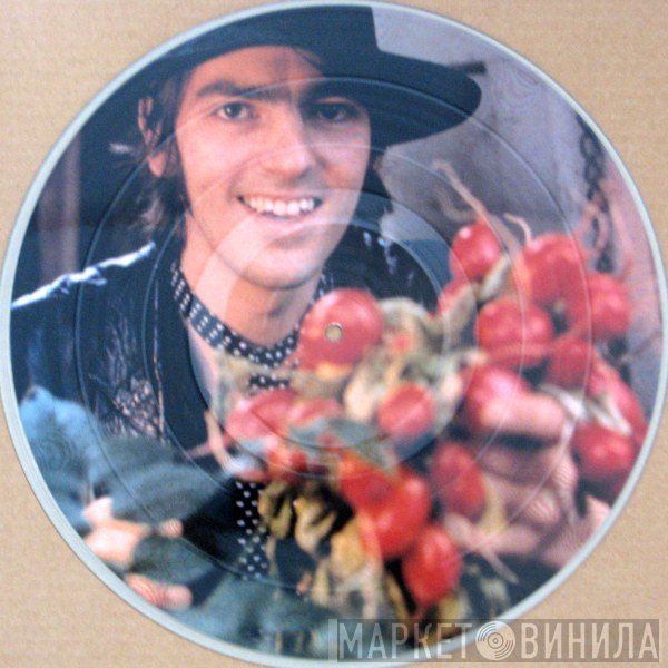 Robyn Hitchcock  - Exploding In Silence