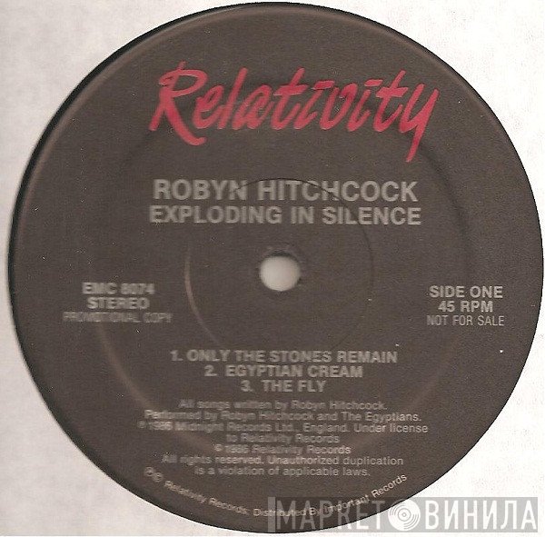Robyn Hitchcock  - Exploding In Silence
