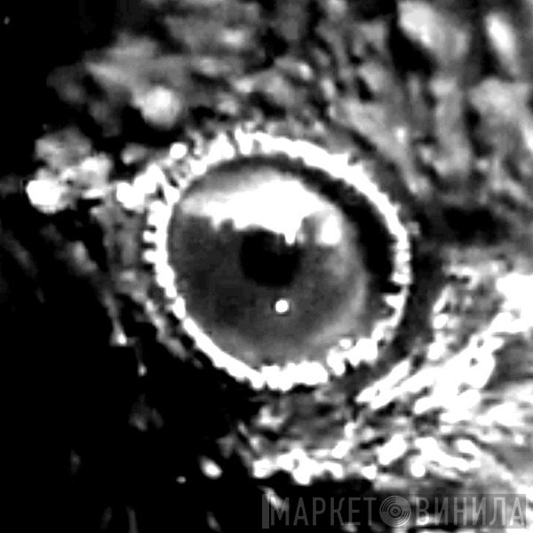 Rot In Hell  - The Millwright Summoning