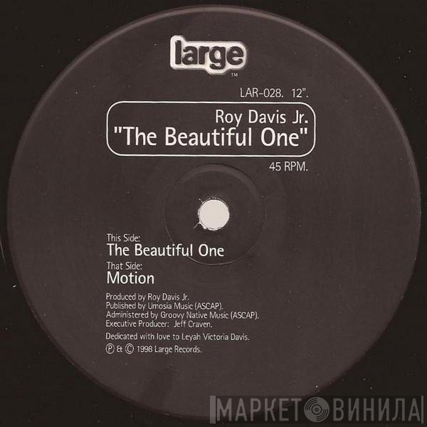 Roy Davis Jr. - The Beautiful One