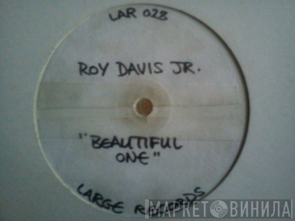 Roy Davis Jr.  - The Beautiful One