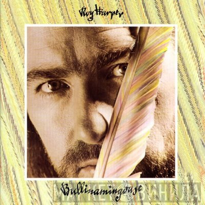 Roy Harper - Bullinamingvase