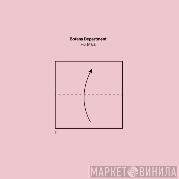 Rui Maia - Botany Department
