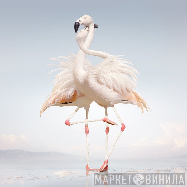 Rustie  - Green Language