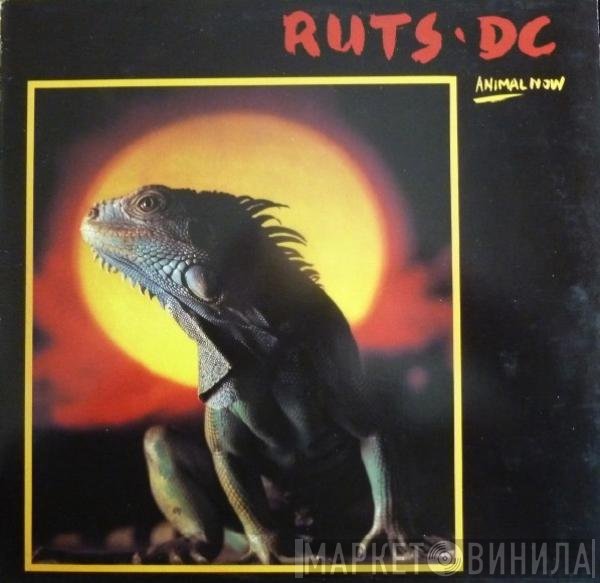 Ruts DC  - Animal Now