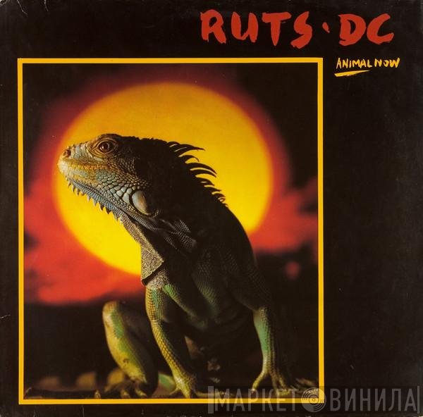 Ruts DC  - Animal Now