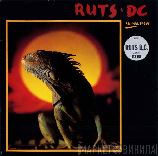 Ruts DC - Animal Now