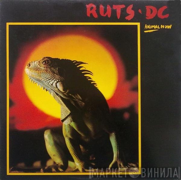Ruts DC  - Animal Now