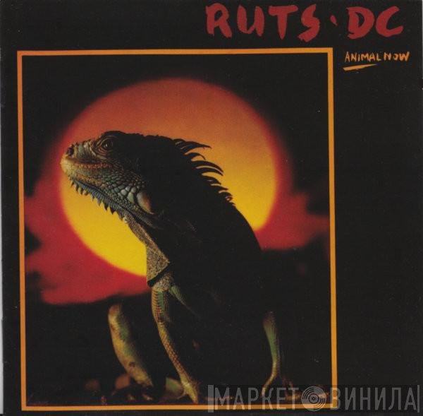 Ruts DC  - Animal Now