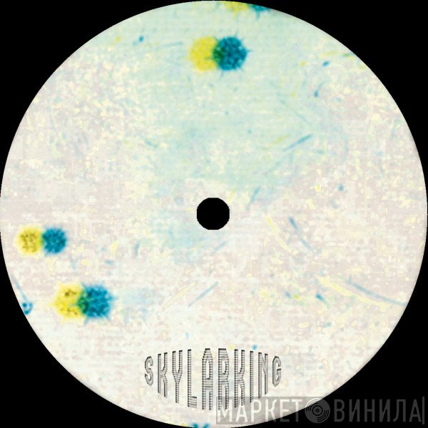 SL Jung - Coherence