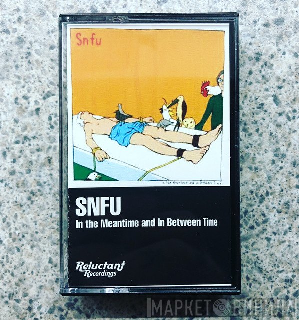 SNFU  - In The Meantime And In Between Time