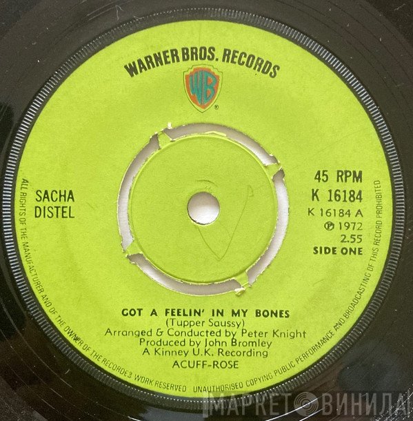 Sacha Distel - Got a Feelin' in my Bones
