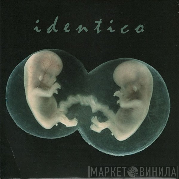 Sad Lovers And Giants  - Identico