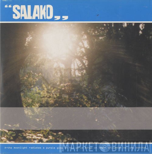 Salako - The Moonlight Radiates A Purple Glow In His World