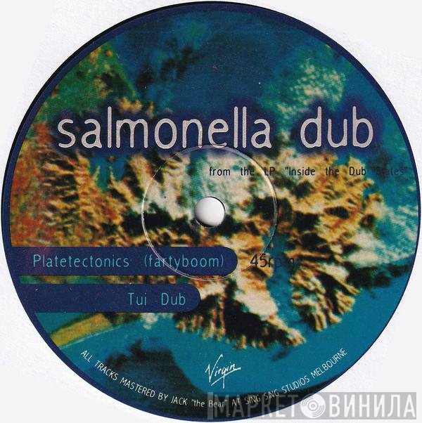 Salmonella Dub - Inside The Dub Plates EP