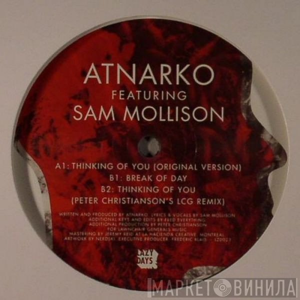 Sam Mollison, Atnarko - Thinking Of You