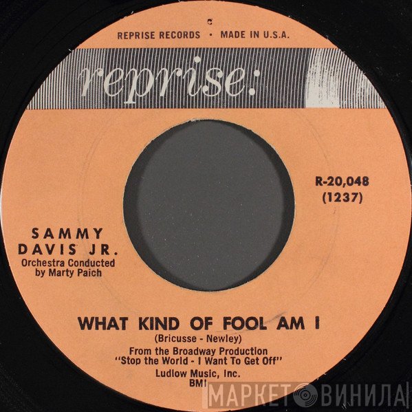 Sammy Davis Jr.  - What Kind Of Fool Am I / Gonna Build A Mountain