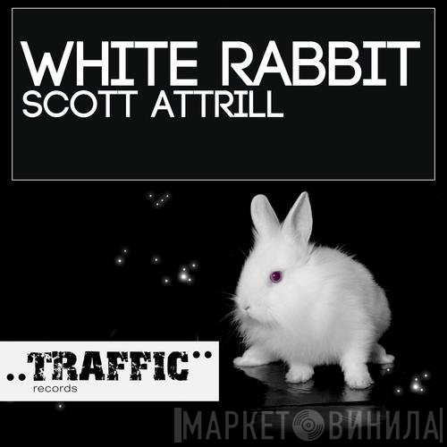 Scott Attrill  - White Rabbit