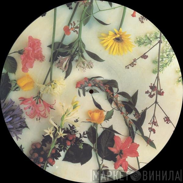 Scritti Politti  - Absolute