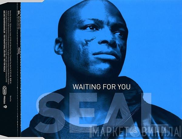 Seal - Waiting For You