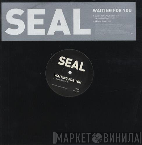 Seal - Waiting For You