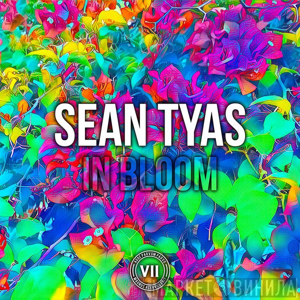 Sean Tyas  - In Bloom