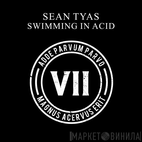Sean Tyas  - Swimming In Acid