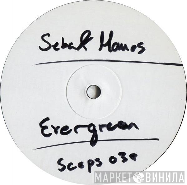 Seba & Robert Manos  - Evergreen
