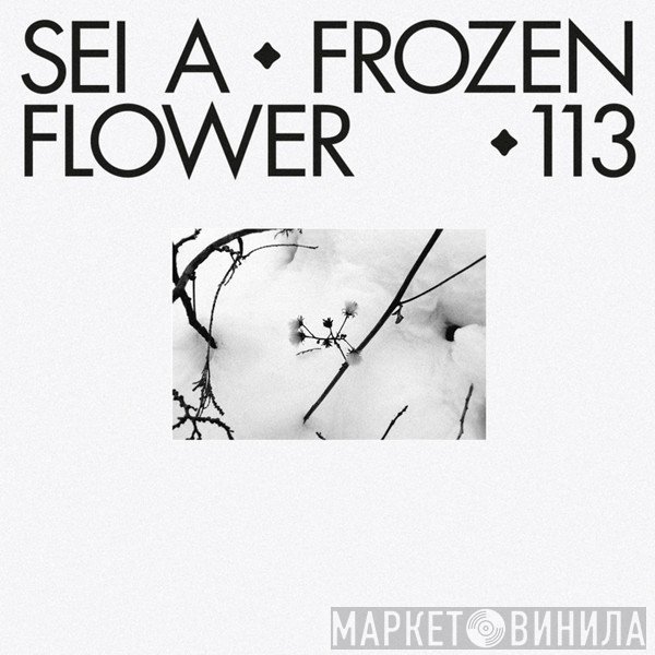 Sei A - Frozen Flower