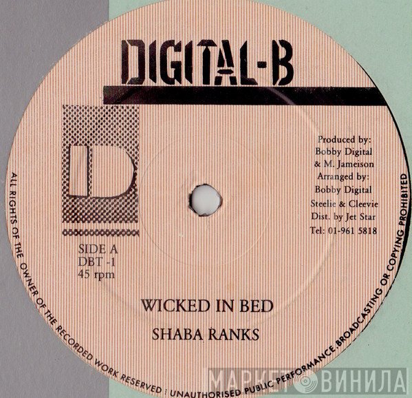 Shabba Ranks  - Wicked In Bed
