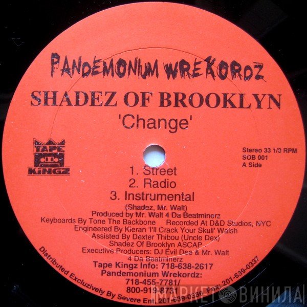 Shadez Of Brooklyn - Change / When It Rains It Pours (Survival Warz!)