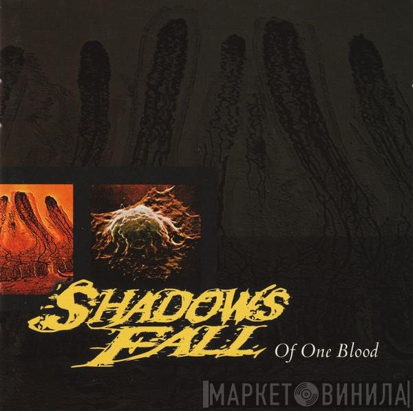Shadows Fall  - Of One Blood
