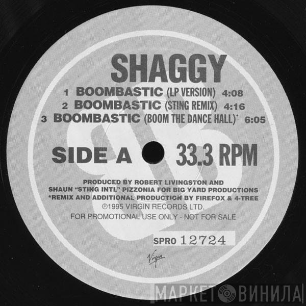 Shaggy  - Boombastic