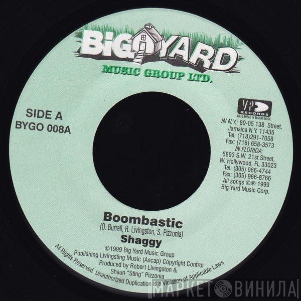 Shaggy  - Boombastic