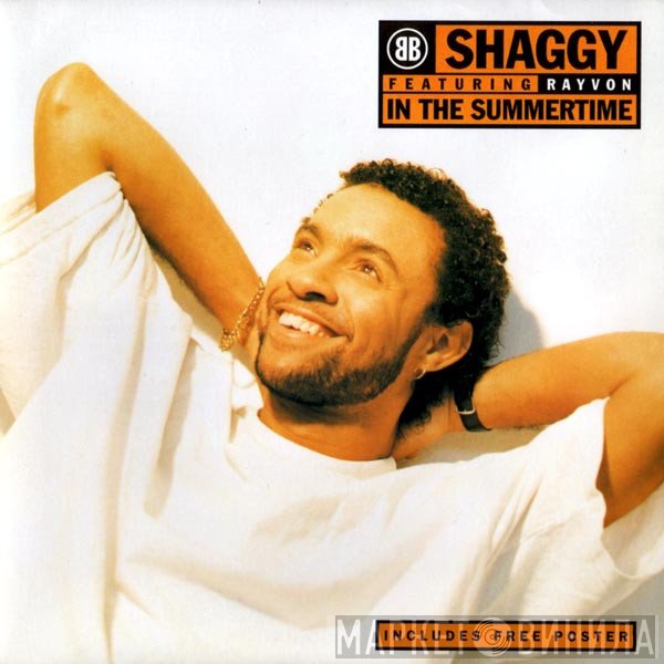 Shaggy Featuring Rayvon  - In The Summertime