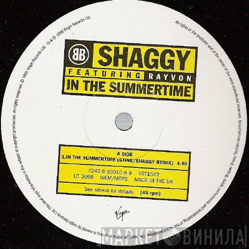 Shaggy Featuring Rayvon  - In The Summertime