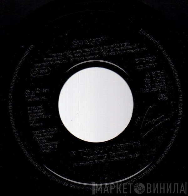 Shaggy - In The Summertime