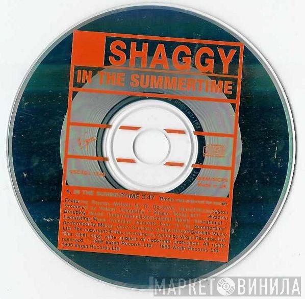 Shaggy  - In The Summertime
