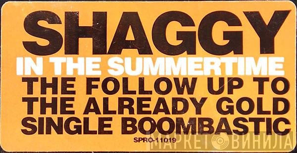 Shaggy - In The Summertime