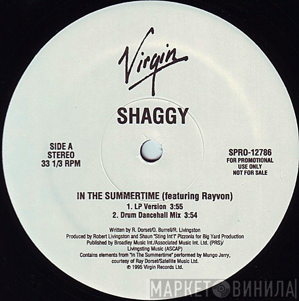 Shaggy  - In The Summertime