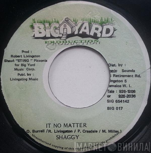 Shaggy - It No Matter