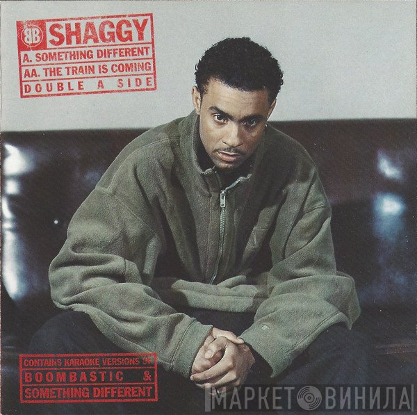 Shaggy - Something Different / The Train Is Coming