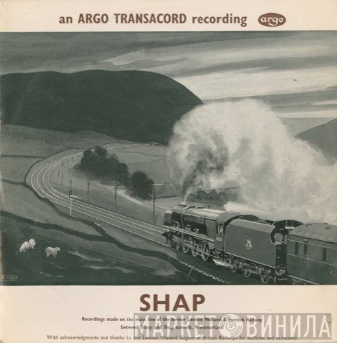  - Shap