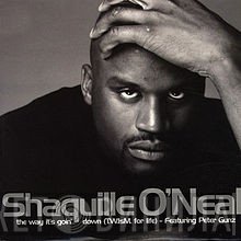 Shaquille O'Neal, Peter Gunz - The Way It's Goin' Down (Twism For Life)