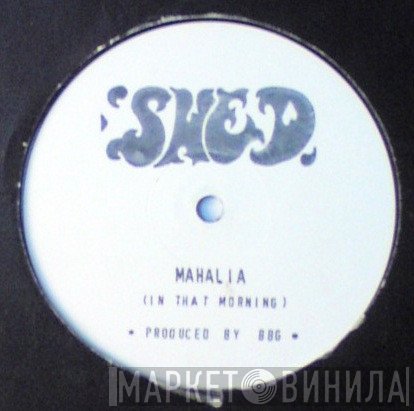 Shed  - Mahalia (In That Morning)